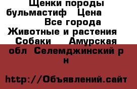 Щенки породы бульмастиф › Цена ­ 25 000 - Все города Животные и растения » Собаки   . Амурская обл.,Селемджинский р-н